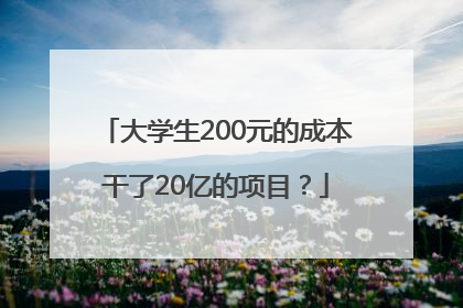 大学生200元的成本干了20亿的项目？
